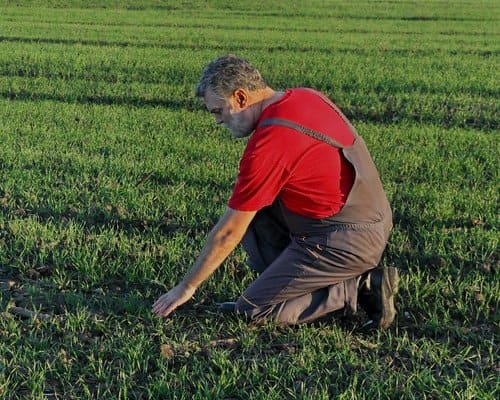 Le mystère de l'oeil humain